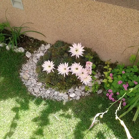 In Kastel Sucurac With Sea View, Balcony, Air Conditioning, Wifi 570-3 公寓 *
